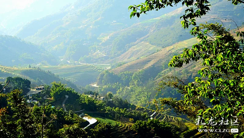 金山丫口是滇中茶马古道必经之地,是哀牢山腹地,杜鹃花漫山遍野,景色