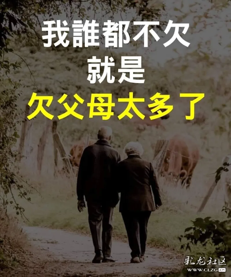 我谁也不欠就欠父母