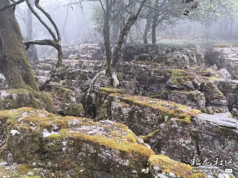 师宗菌子山荒城古墟雾里美景!