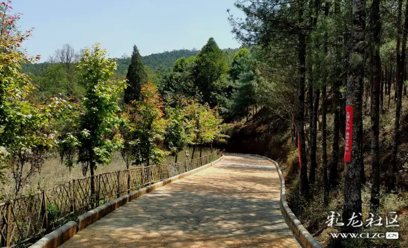 休闲《嵩明百花箐山谷》探索自然,传播人文,愉悦身心