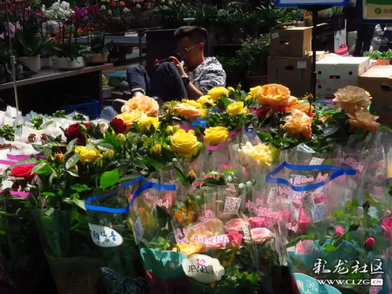 斗南花市