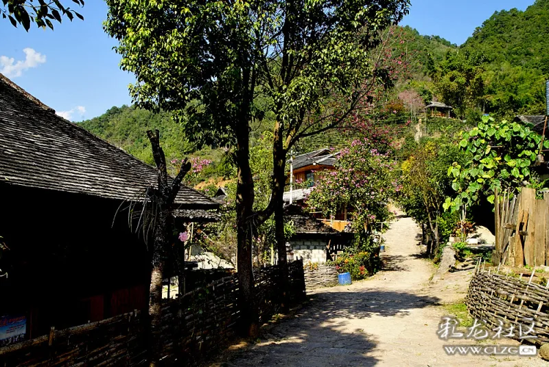 快乐拉祜唱响的地方云南澜沧大山深处的音乐小镇老达保