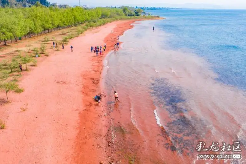 我错了我不该毁了抚仙湖粉红沙滩