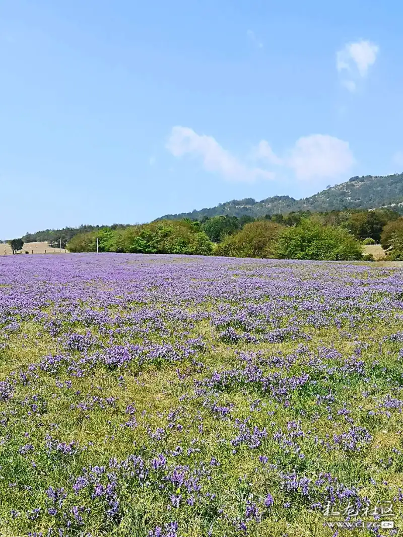 寻甸凤龙山踏青