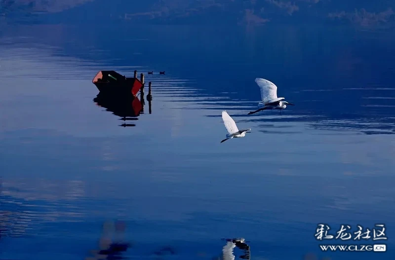 云南的生物多样性之美一一阳宗海