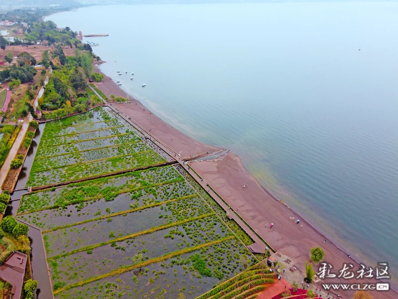 广龙抚海湾湿地