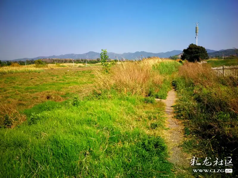 杨林嘉丽泽风光