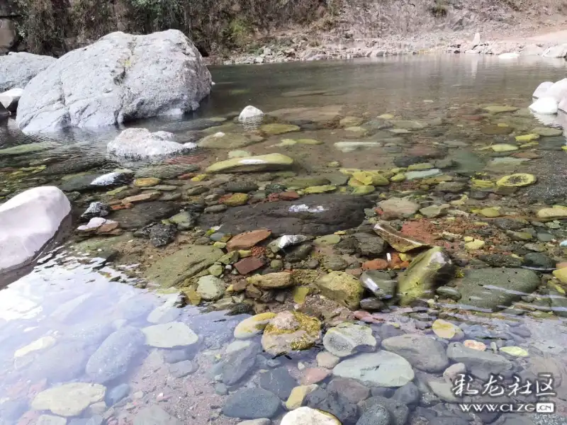 小清河水母亲的乳汁,催开杜鹃花海.