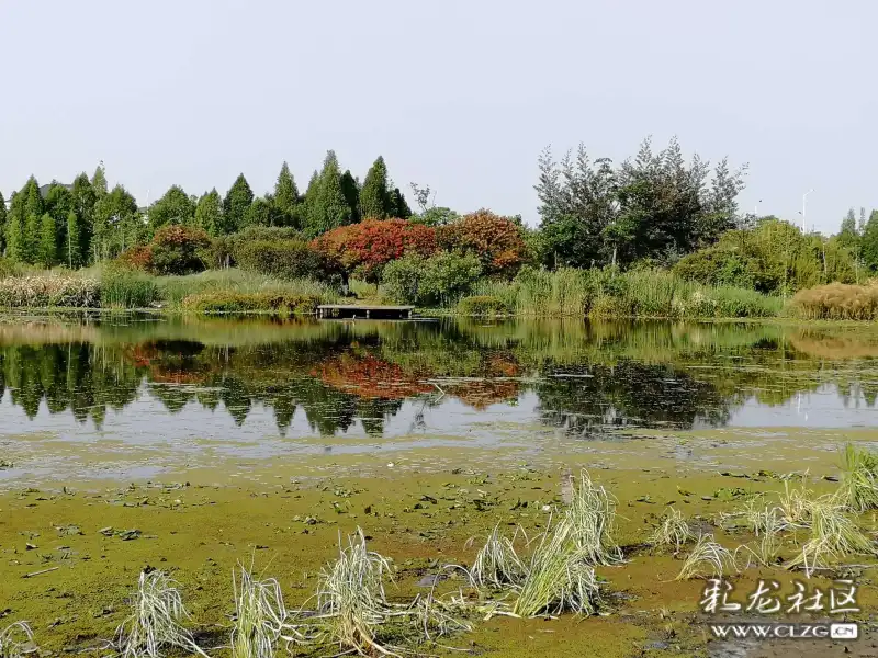 昆明官渡区西亮塘湿地公园美景