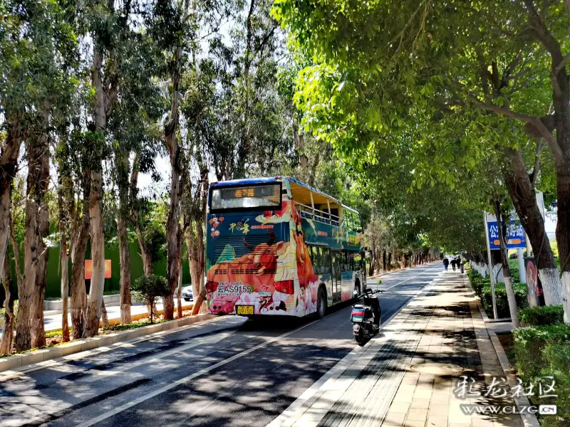 昆明开行旅游特色公交车