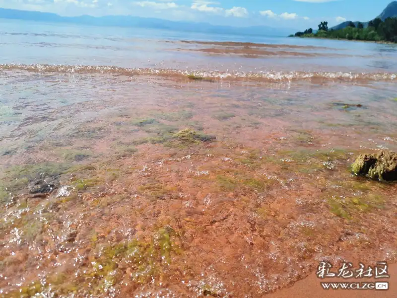 抚仙湖网红沙滩走一走