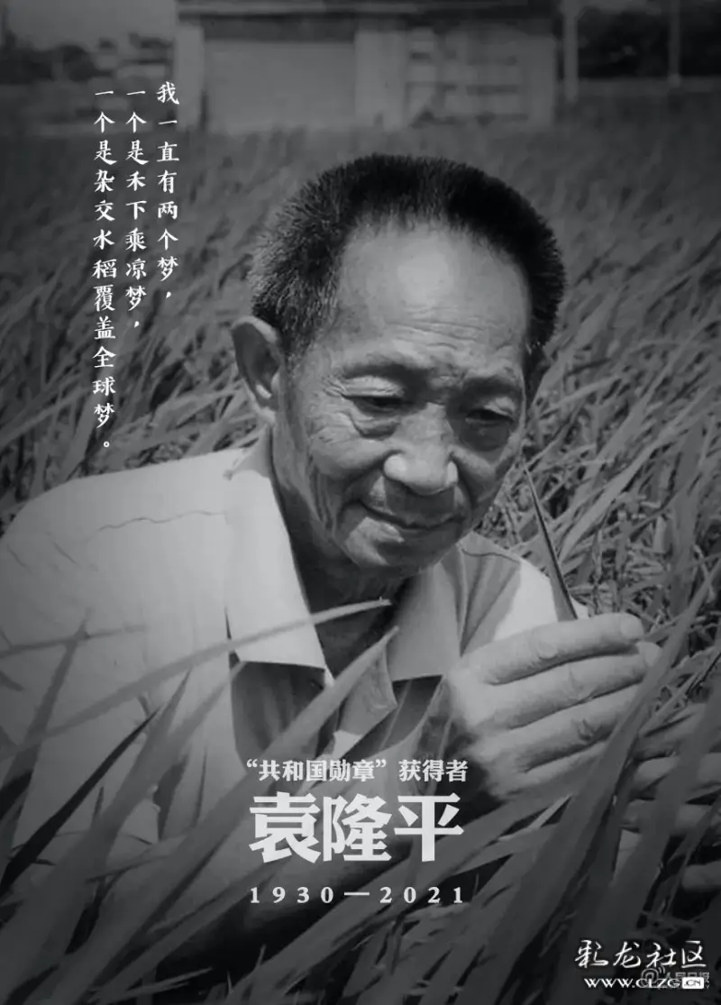 香一一致共和国勋章获得者杂交水稻之父中国工程院院士袁隆平雪山雄鹰