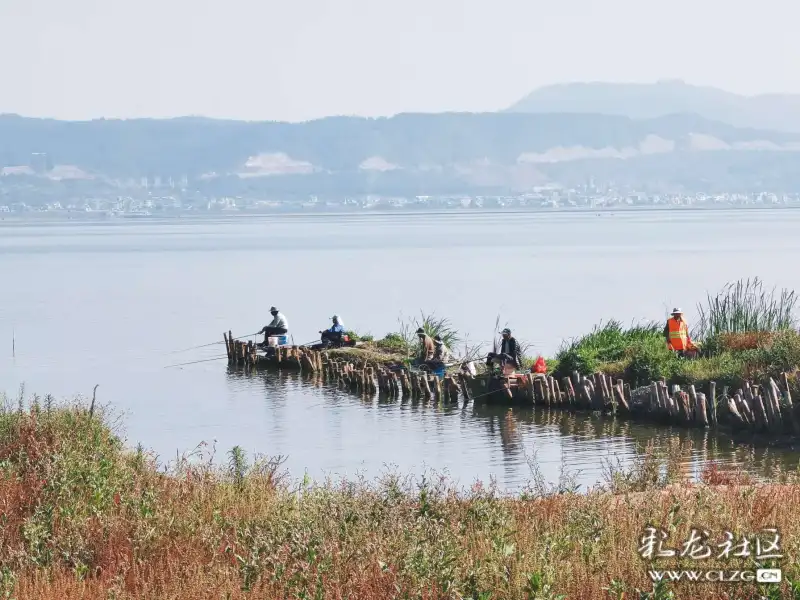 杞麓湖之晨