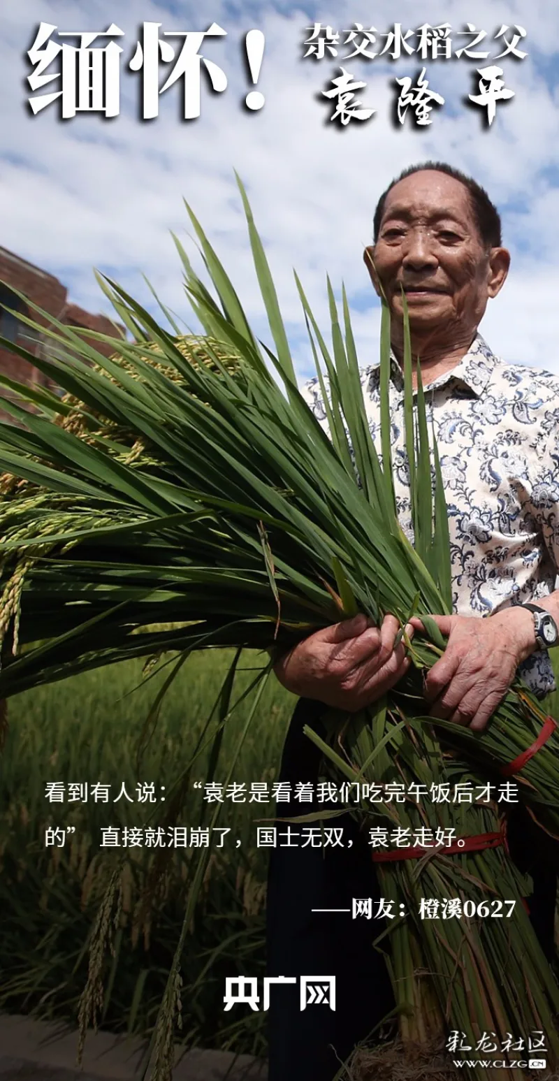 泪目网友集体缅怀袁隆平您是看着我们吃完午饭才走的