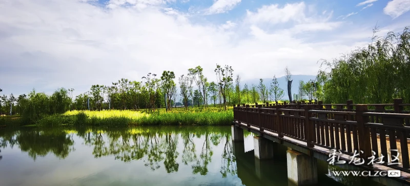 美了美了草海湿地公园