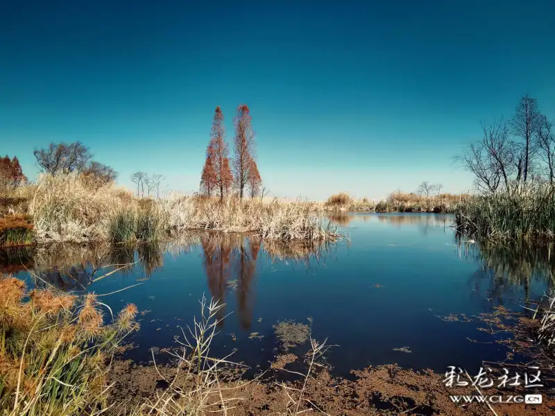 静静的东大河