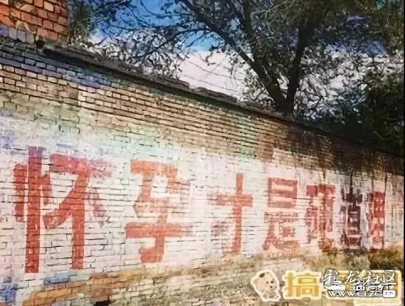 别笑三胎开放了回村看到这些计生标语再也不害怕了
