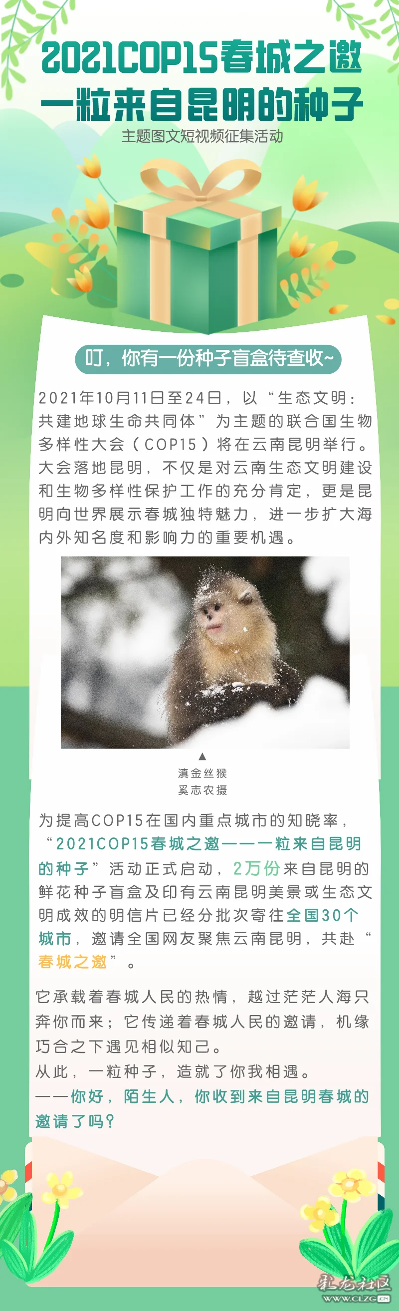 2021cop15春城之邀一粒来自昆明的种子主题图文短视频征集活动