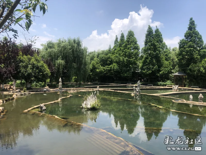 云南丰泽园植物园黑龙潭寺