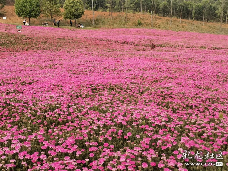 玉溪滇中植物园