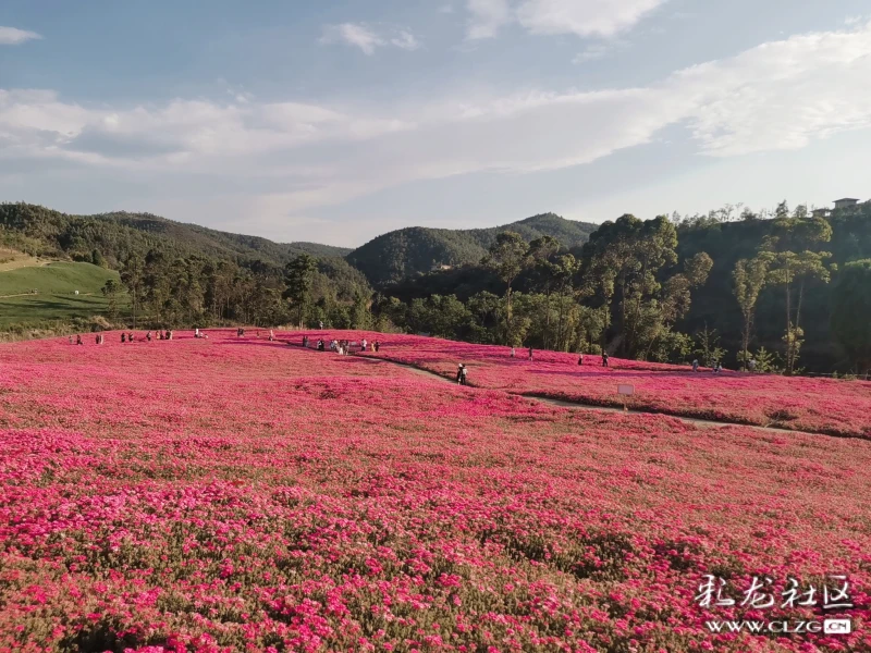 玉溪滇中植物园