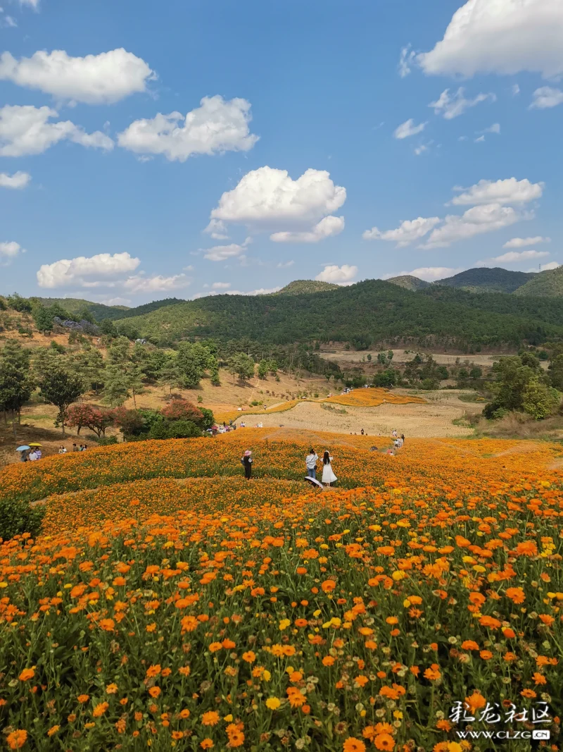 玉溪滇中植物园