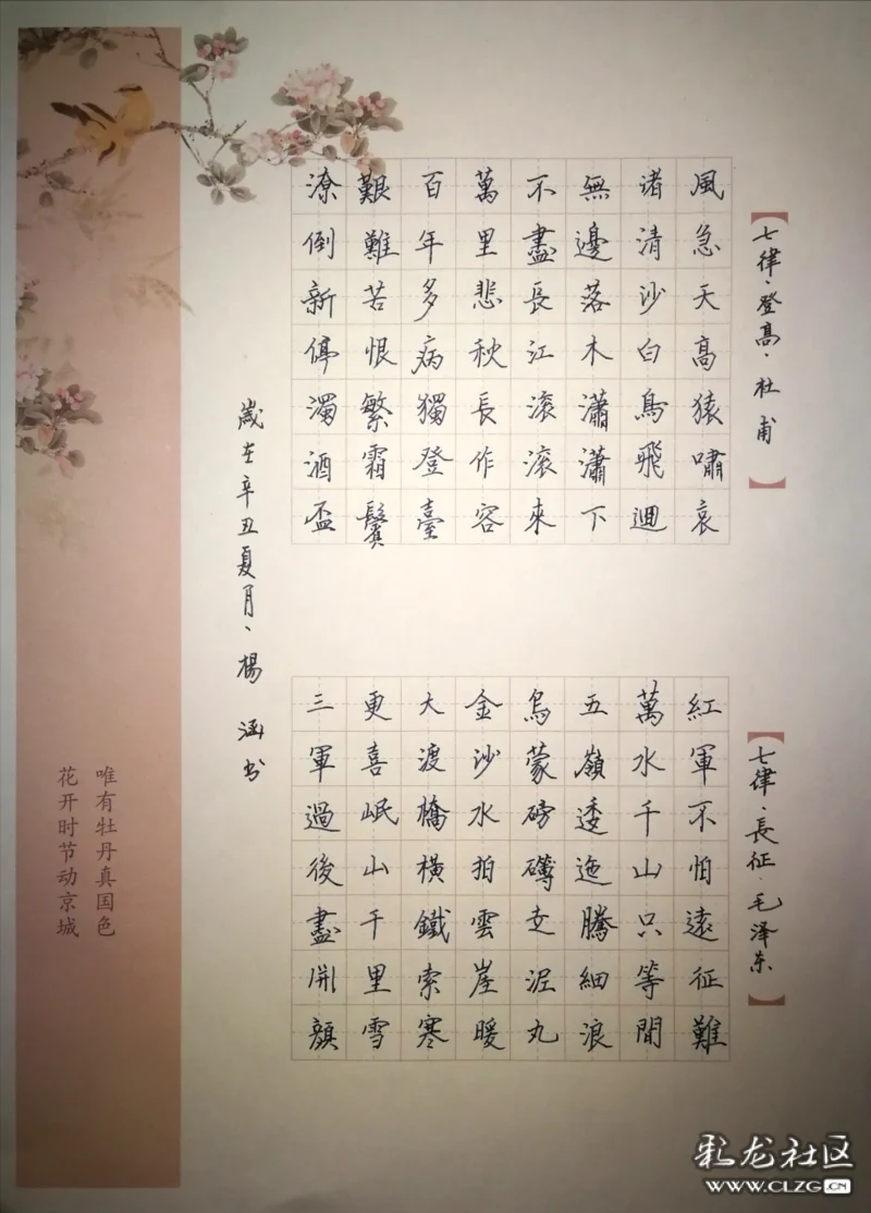 毛泽东 七律.登高.杜甫