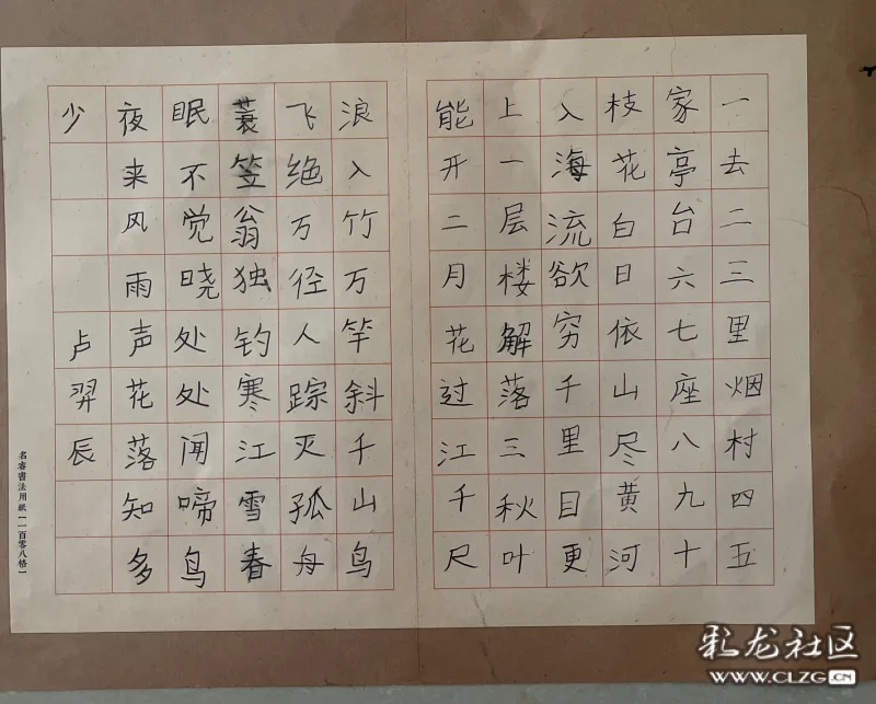 金康园小学二年级学生卢羿辰铅笔字作品
