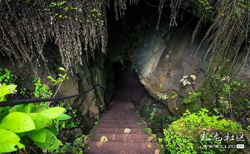 世界上发现的神秘洞穴很多,而其中最为著名要数厄瓜多尔黄金洞了