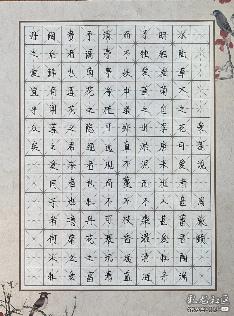 150格硬笔书法内容,硬笔书法10×15的作品 硬笔书法《爱莲说》江乙冉