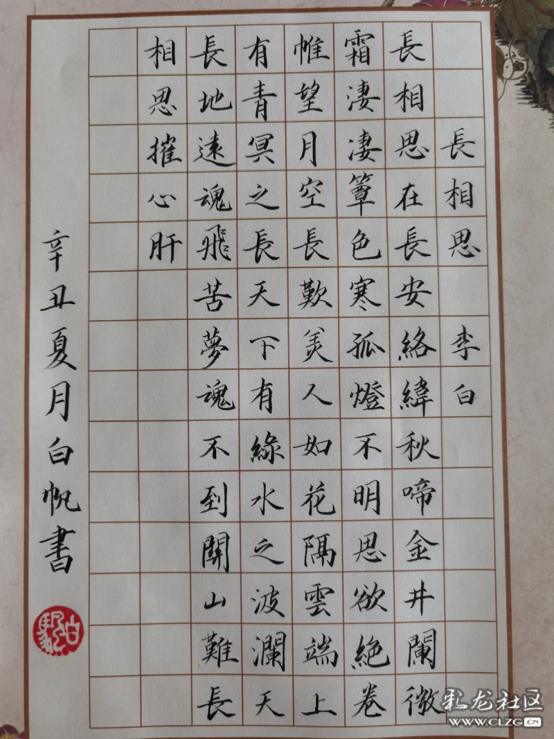 白帆硬笔书法参赛作品