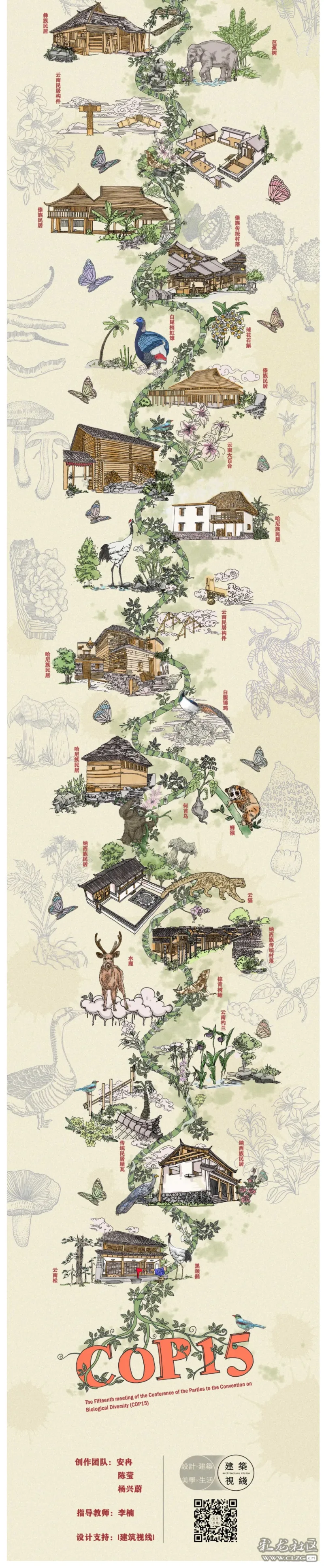 手绘多样云南喜迎cop15