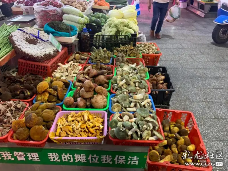 就爱逛昆明呈贡最大的金龙农贸市场野生菌大量上市