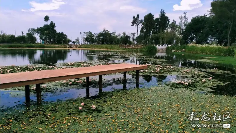 遇见唯美官渡王官湿地公园每次去都能看到新的美景