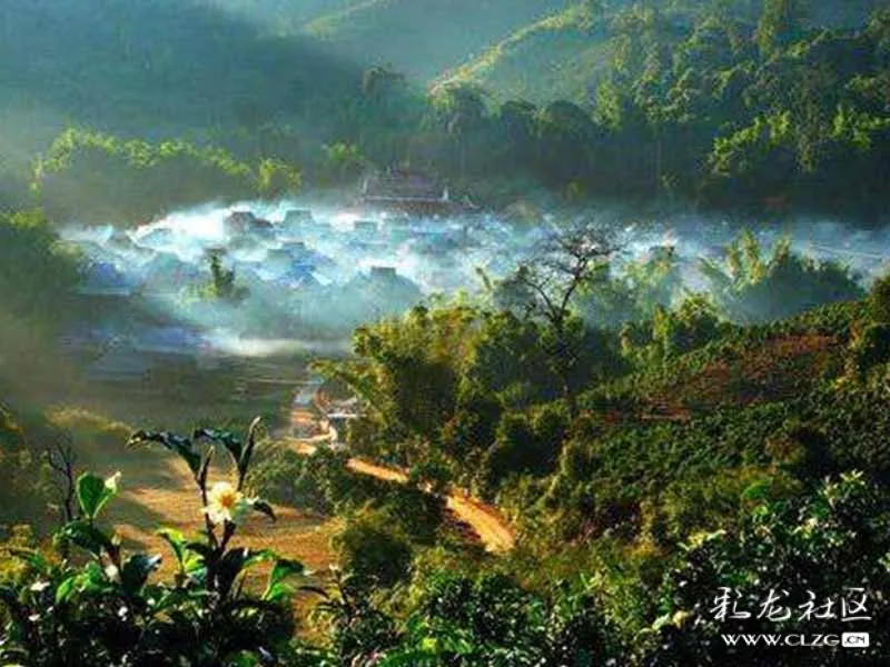 想买不懂买普洱新手购茶指南勐海勐腊临沧3大茶区说开去