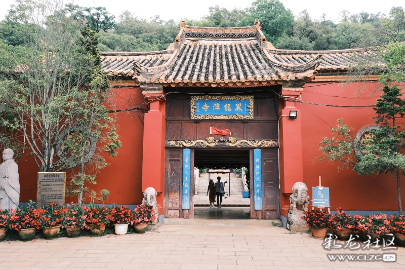 泾渭分明的龙宫