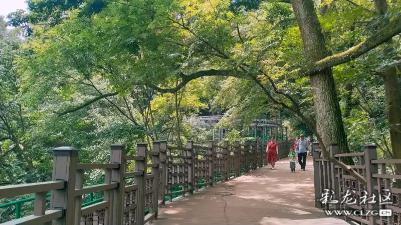 西山睡美人昆明西山景区打造人在景中游的人行栈道