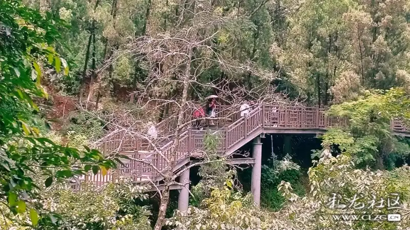 西山睡美人昆明西山景区打造人在景中游的人行栈道