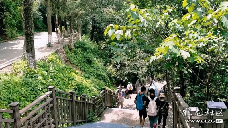 西山睡美人昆明西山景区打造人在景中游的人行栈道