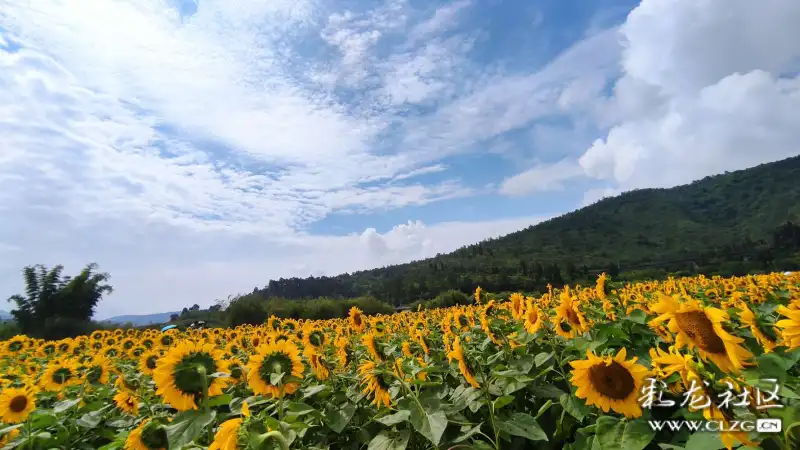 螳螂川流域营造了位于螳螂川畔,牧羊湖畔的佳景,碧湖,水车,花海,共同