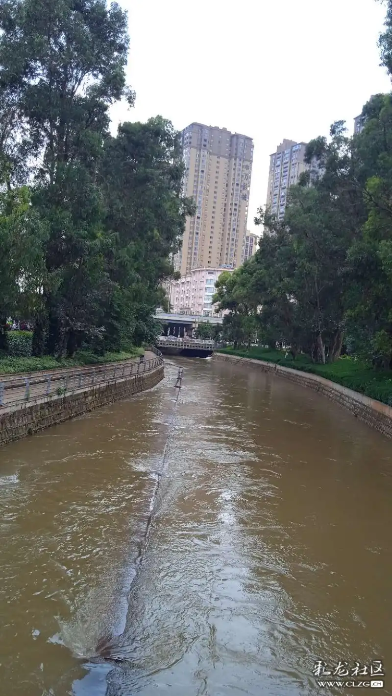 大雨后的盘龙江水