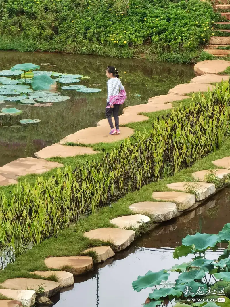 活发创意小镇秋景迷人