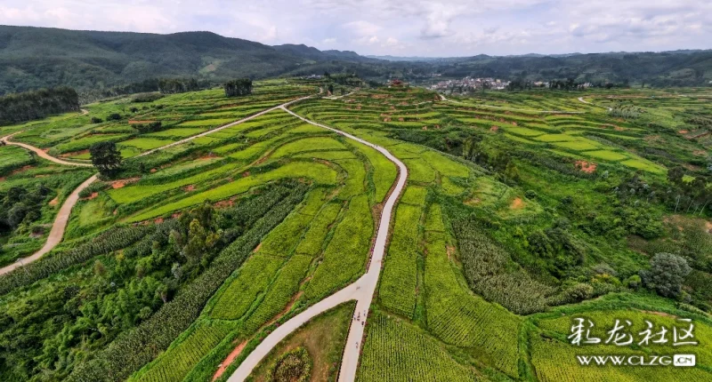 阿路龙景区,位于叠虹桥景区西北约10公里处,在南盘江另一条