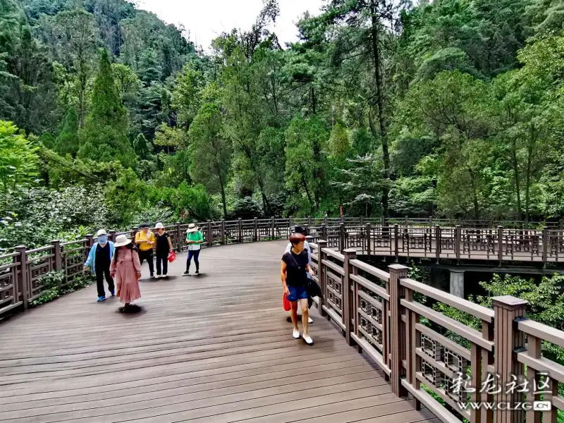 西山公园人行栈道是风景中的风景