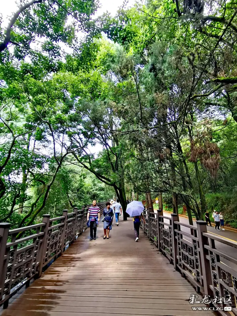 西山公园人行栈道是风景中的风景