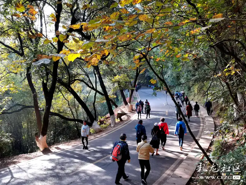 西山公园人行栈道是风景中的风景