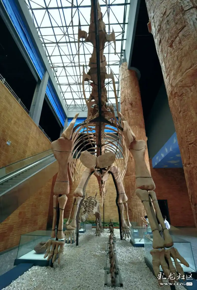 禄丰恐龙化石博物馆