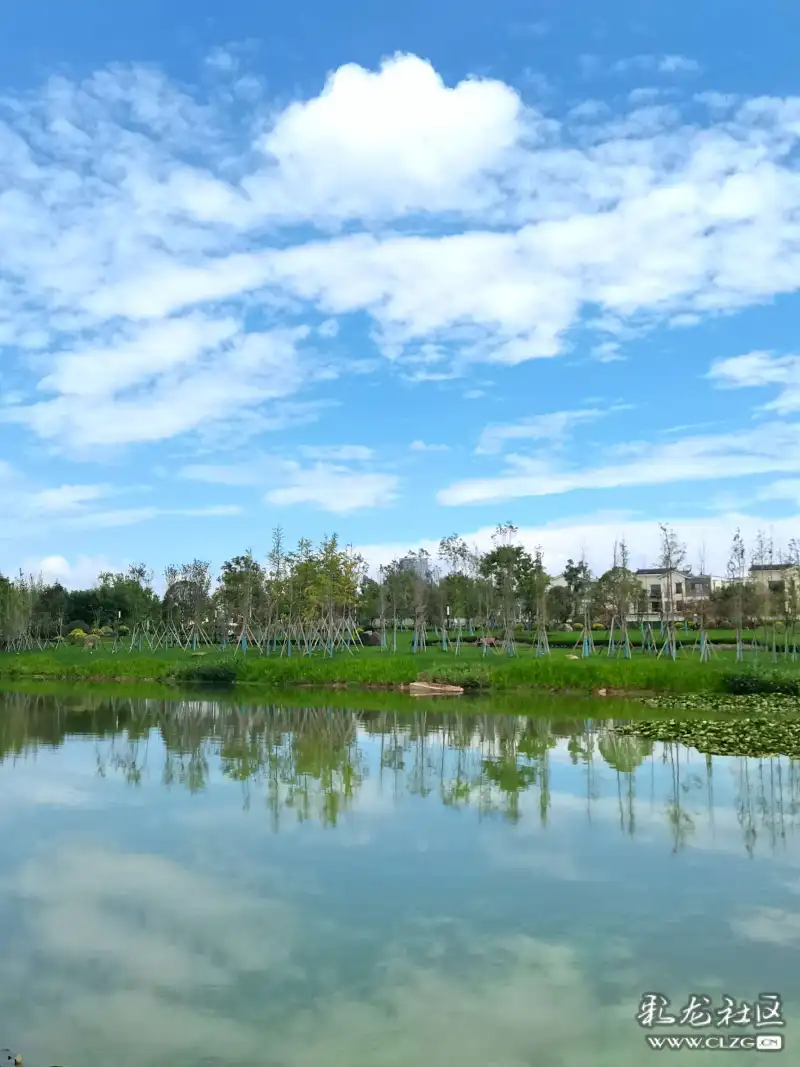 草海湿地晚霞美