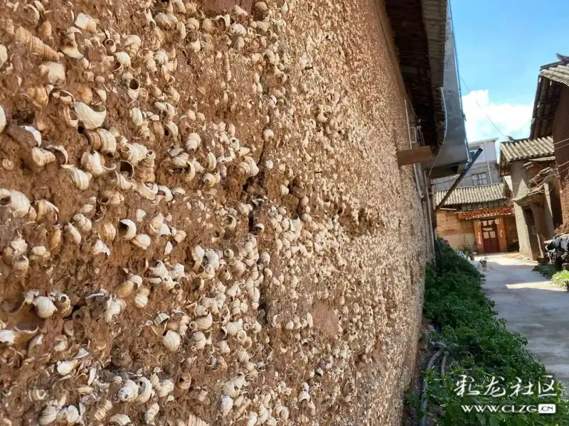滇池盘龙江螺蛳湾风化螺壳一一艺术最美的一面就是这样了