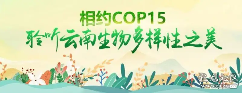 2021cop15春城之邀生物多样性大会